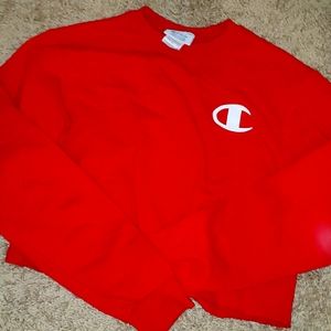 Cropped champion sweatshirt